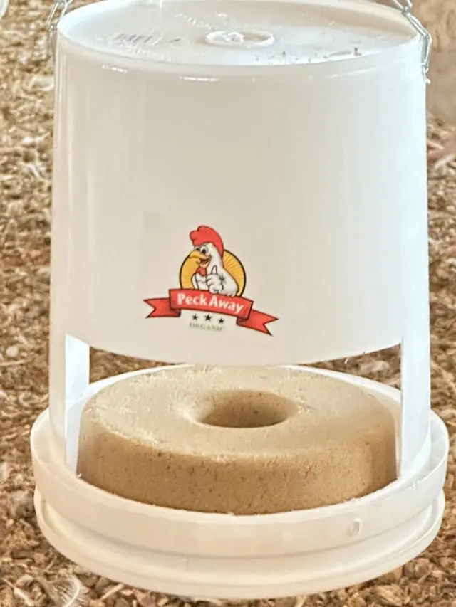 A white feeder with a stone-like circular base and a chicken logo.