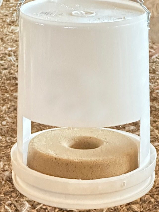 A brown doughnut-shaped object inside a white container.